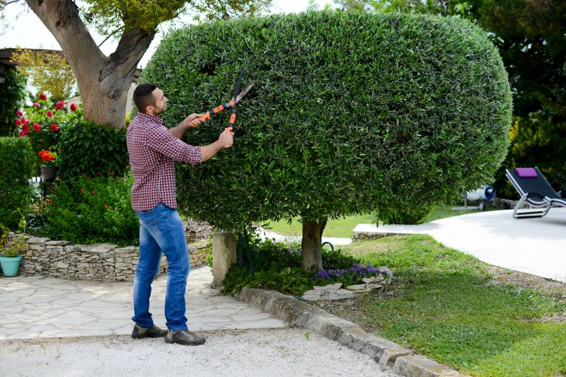Precision Shrub Shaping
