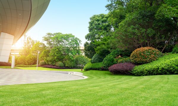Commercial Shrub Trimming in Flint