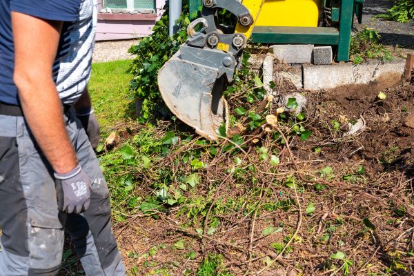 Hedge Removal Service in Flint
