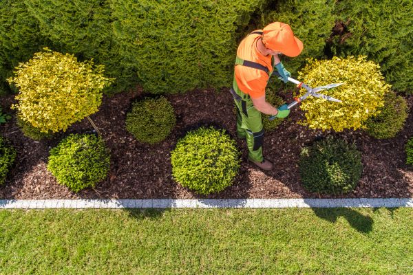 Cost of Topiary Trimming in Flint