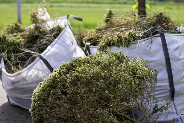 Shrubs Removal in Flint
